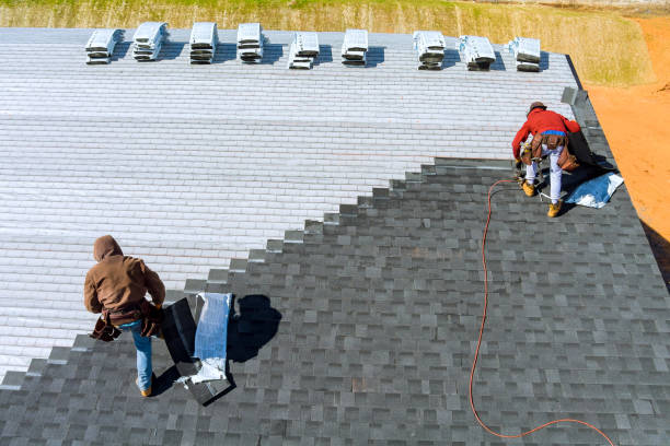Best Roof Gutter Cleaning  in Falling Waters, WV