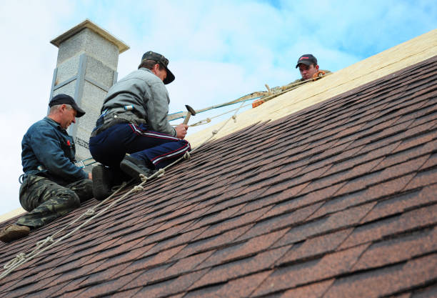 Best Roof Leak Repair  in Falling Waters, WV